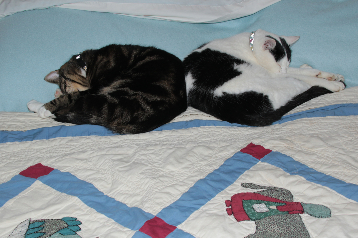 Stop photographing us as we're trying to go to sleep - Duncan Gordon